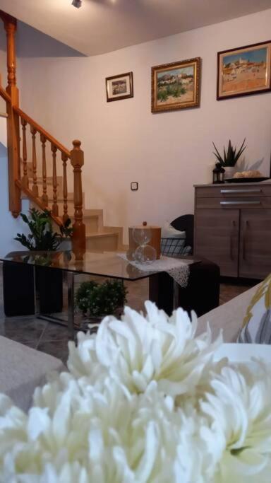 Casa Joana Βίλα Canyelles  Εξωτερικό φωτογραφία